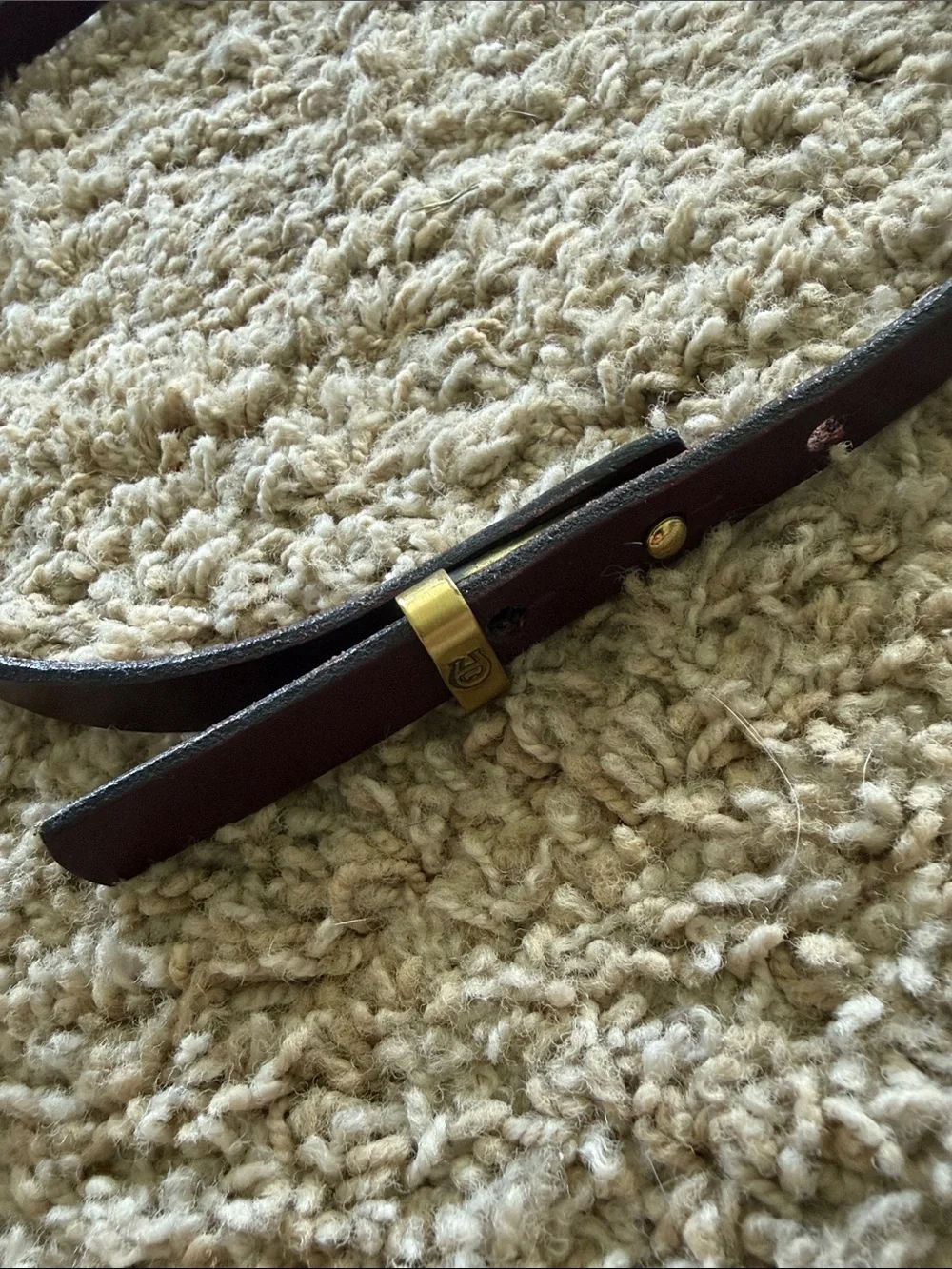Etienne Aigner Leather Belt with Gold Accent